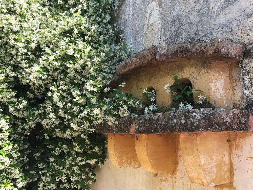 La Fragna Acomodação com café da manhã Nardò Exterior foto